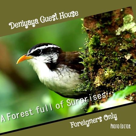 Deniyaya Guest House Luaran gambar