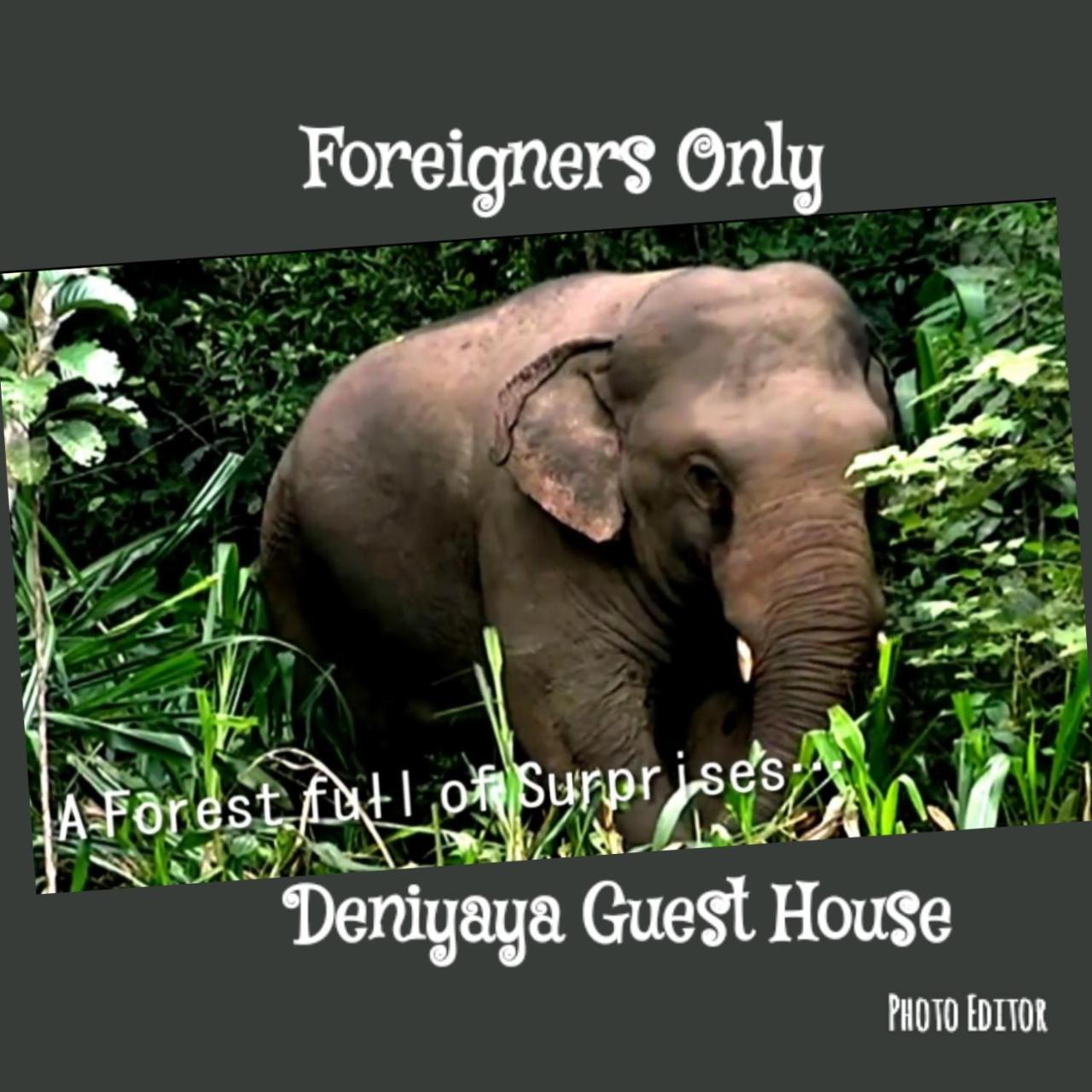 Deniyaya Guest House Luaran gambar