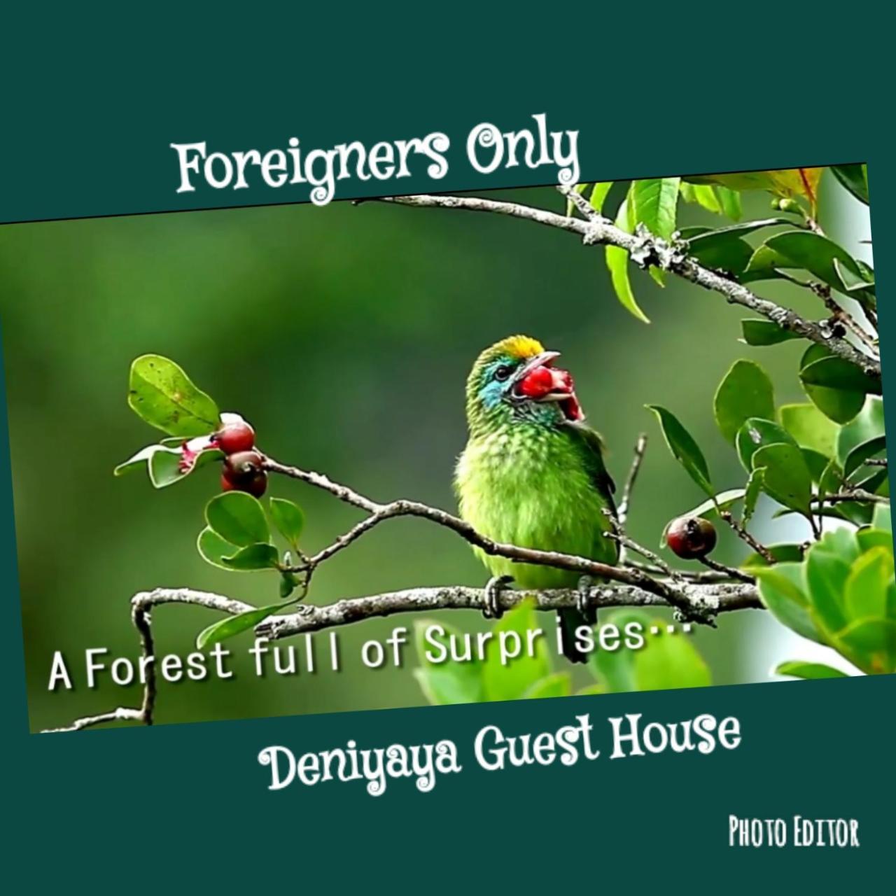 Deniyaya Guest House Luaran gambar