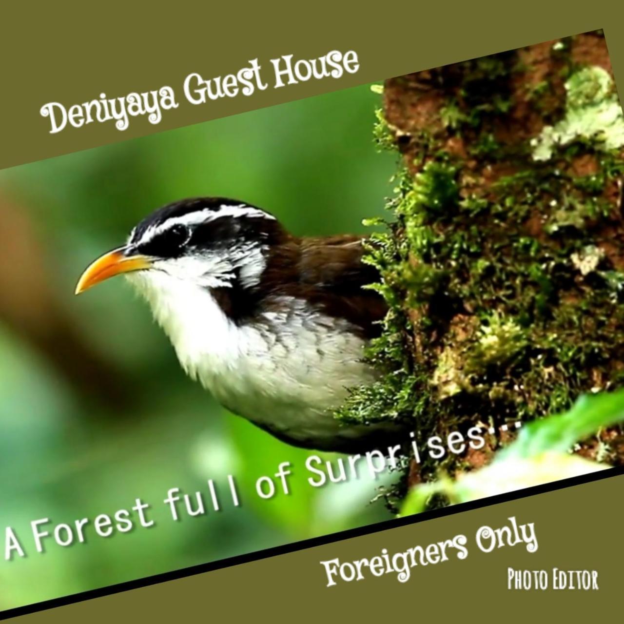 Deniyaya Guest House Luaran gambar