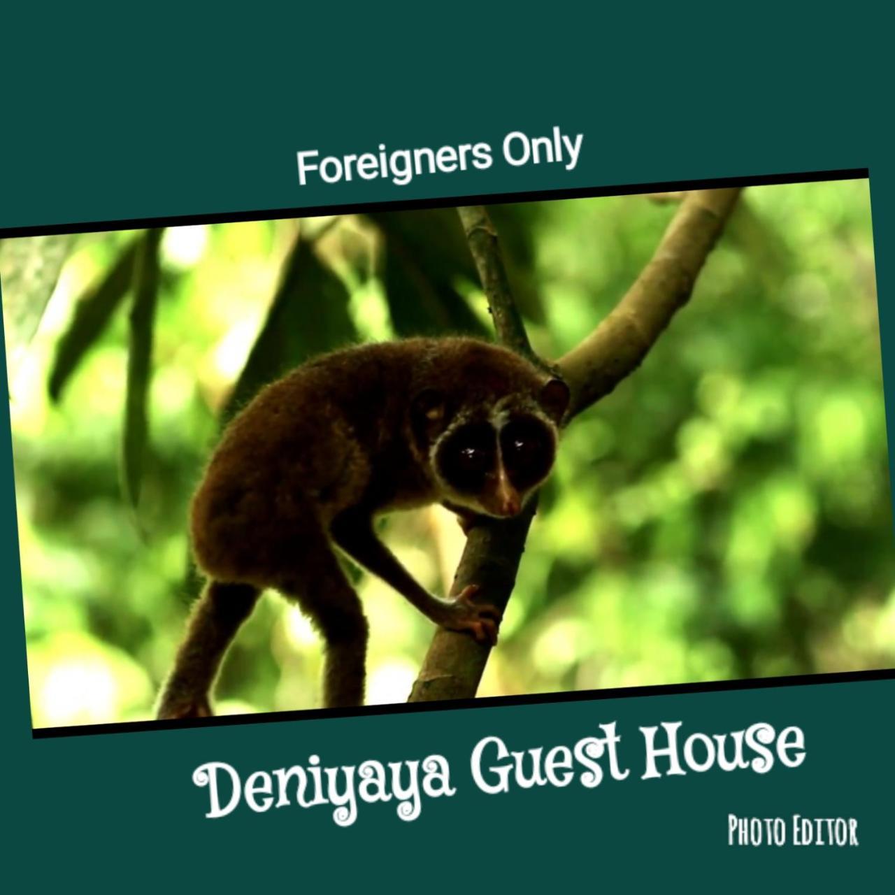 Deniyaya Guest House Luaran gambar